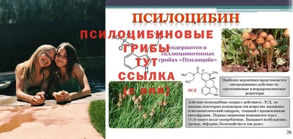 скорость Протвино