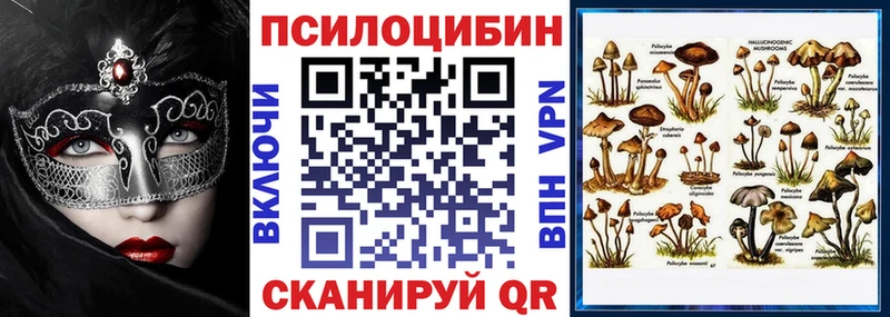 Псилоцибиновые грибы прущие грибы  Купить  Струнино 